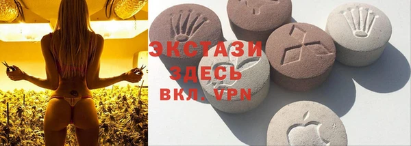 мдпв Елабуга