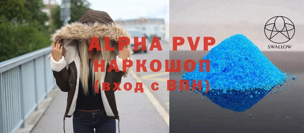 спиды Ельня