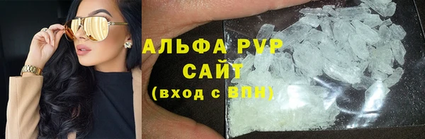 спиды Ельня