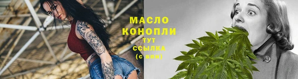 мдпв Елабуга