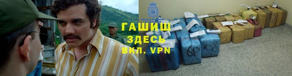 спиды Ельня