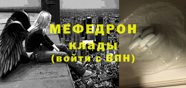 мдпв Елабуга