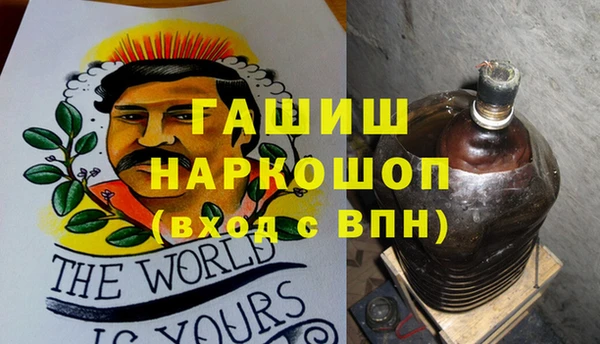 мдпв Елабуга