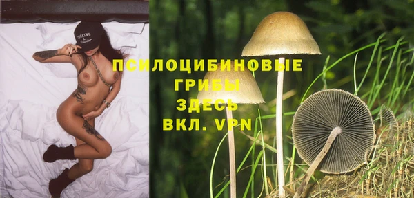 мдпв Елабуга
