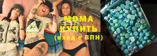 спиды Ельня