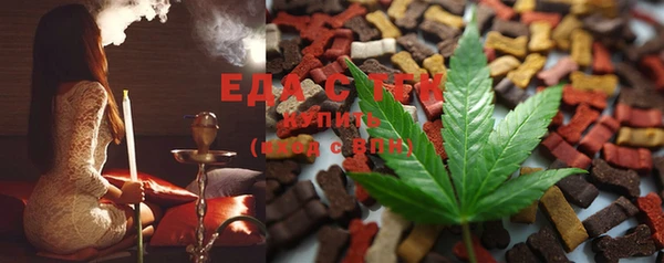 спиды Ельня